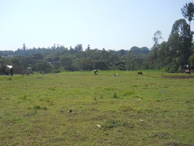 Half an acre Arable land in Kasosi, Mabanga, Bungoma